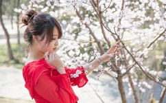 外交部泰刚被策反